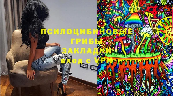 apvp Горно-Алтайск