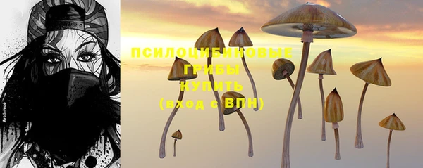 герыч Горнозаводск