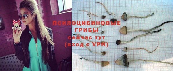 прущие крисы Гусиноозёрск