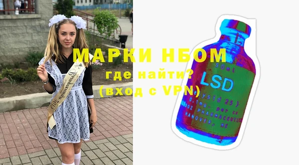ГАЛЛЮЦИНОГЕННЫЕ ГРИБЫ Гусев