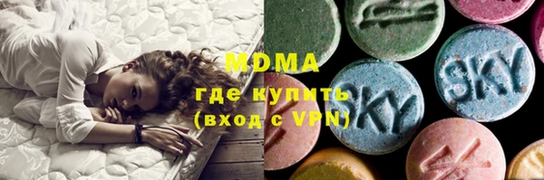 ГАЛЛЮЦИНОГЕННЫЕ ГРИБЫ Гусев